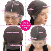 Let's Explore & Shop