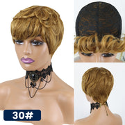 Let's Explore & Shop