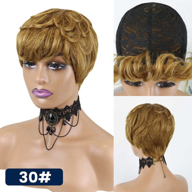 Let's Explore & Shop